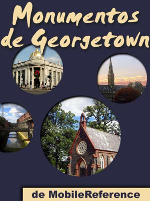 Book cover of Monumentos de Georgetown
