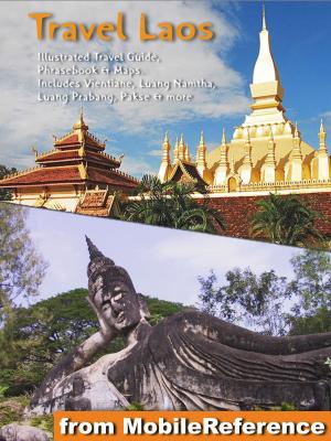 bigCover of the book Laos: Illustrated Travel Guide, Phrasebook and Maps by 