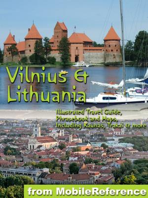 Book cover of Vilnius & Lithuania (Baltic States)