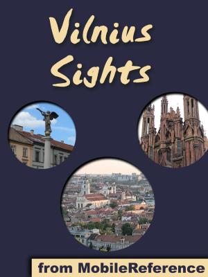 Book cover of Vilnius Sights
