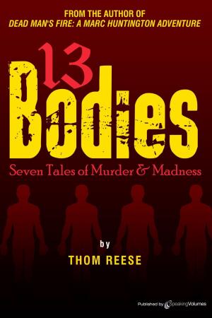 Book cover of 13 Bodies - Seven Tales of Murder & Madness