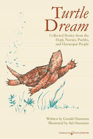 Cover of the book Turtle Dream by Larry D. Sweazy