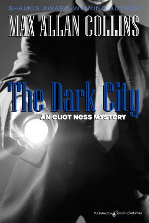 Cover of the book The Dark City by Valerie Anand, Fiona Buckley