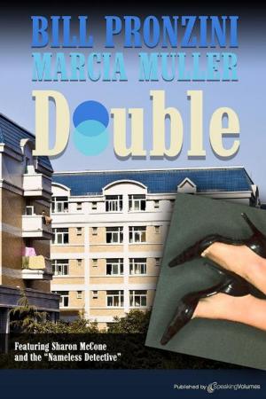 Cover of the book Double by Larry D. Sweazy