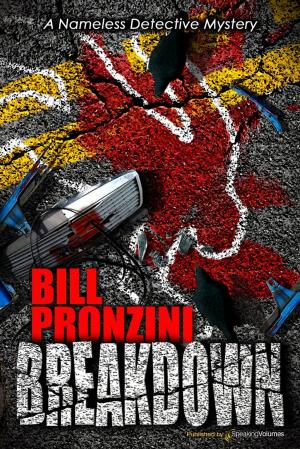Cover of the book Breakdown by Kevin D. Randle