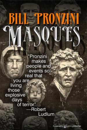 Cover of the book Masques by JD Spero