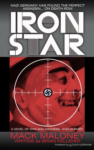 Cover of the book Iron Star by Bill Pronzini