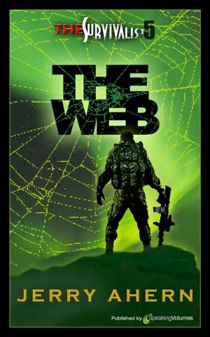 Cover of the book The Web by Barbara D'Amato