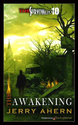 Cover of the book The Awakening by Bill Pronzini, Barry N. Malzberg
