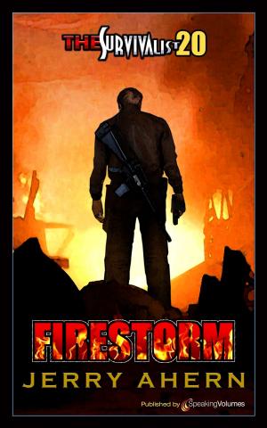 Cover of the book Firestorm by Geoffrey Thorne