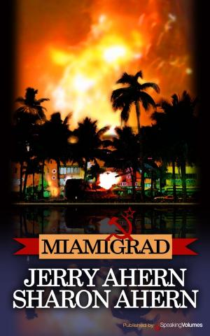 Cover of the book Miamigrad by J.R. Roberts
