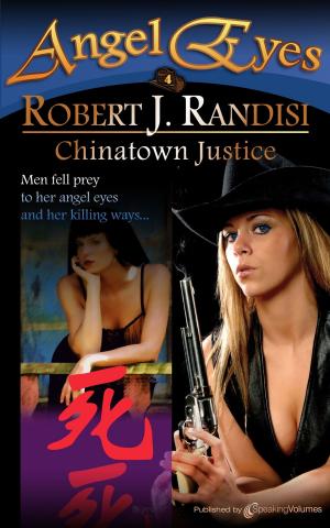Book cover of Chinatown Justice
