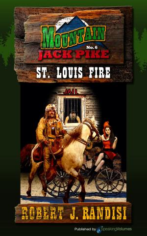 Cover of the book St. Louis Fire by Max McCoy