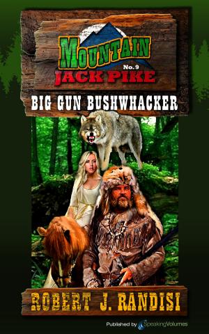Cover of the book Big Gun Bushwhacker by Robert J. Randisi