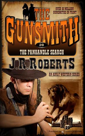 bigCover of the book The Panhandle Search by 