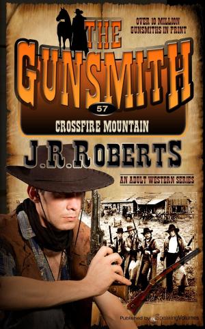 Cover of the book Crossfire Mountain by Jerry Ahern, Sharon Ahern, Bob Anderson