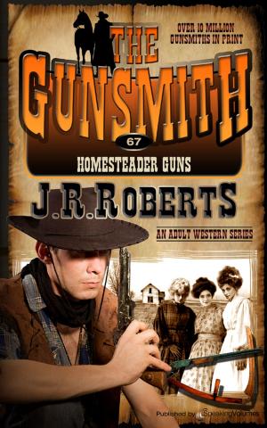 Cover of the book Homesteader Guns by J.R. Roberts