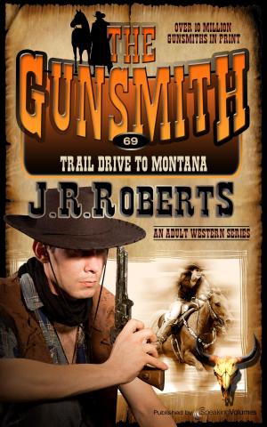Cover of the book Trail Drive to Montana by John Lutz