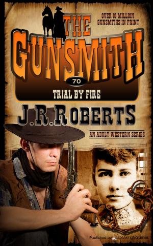Cover of the book Trial by Fire by Ed Gorman