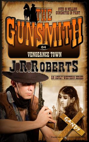 Cover of the book Vengeance Town by Bill Brooks