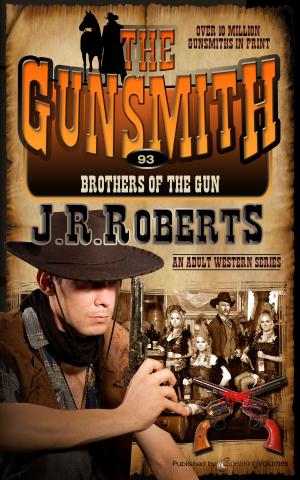 Cover of the book Brothers of the Gun by Jerry Ahern, Sharon Ahern, Bob Anderson