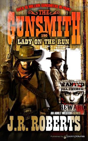 Cover of the book Lady on the Run by J.R. Roberts