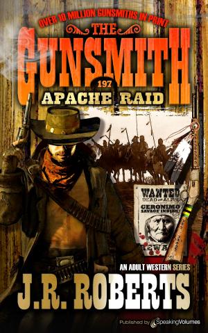 Cover of the book Apache Raid by Bill Pronzini
