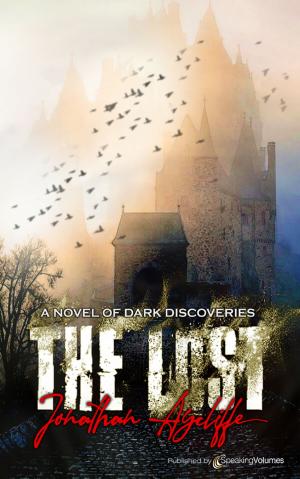 Cover of the book The Lost by Bill Pronzini, Barry N. Malzberg