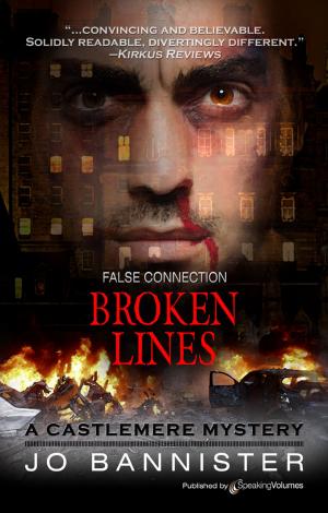 Book cover of Broken Lines