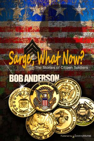 Cover of the book Sarge, What Now? by J.R. Roberts