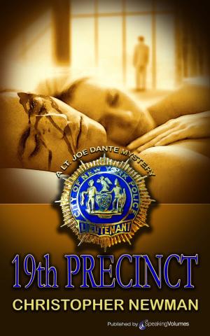bigCover of the book 19th Precinct by 