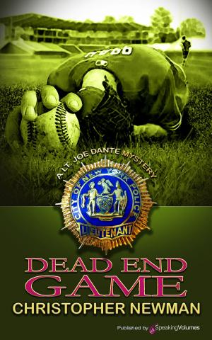 Cover of the book Dead End Game by J.R. Roberts