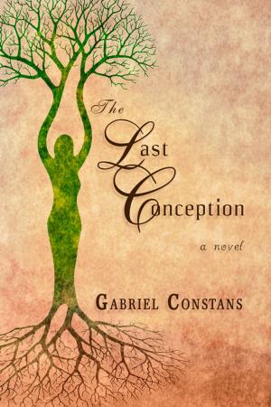 bigCover of the book The Last Conception by 