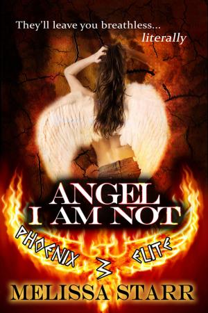Cover of the book Angel I Am Not by Angela Holder