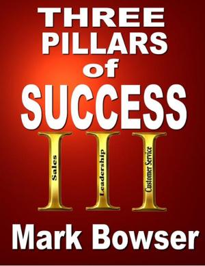 Cover of the book The Three Pillars of Success by Catherine Mattiske