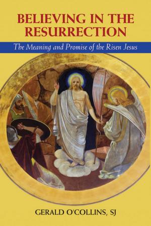 bigCover of the book Believing in the Resurrection: The Meaning and Promise of the Risen Jesus by 