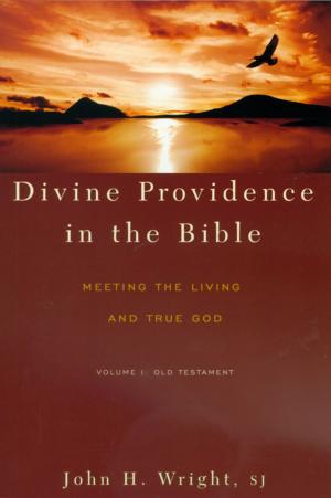 Cover of the book Divine Providence in the Bible: Meeting the Living and True God Volume I: Old Testament by Wil Hernandez; foreword by Richard Rohr, OFM