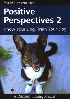 Book cover of Positive Perspectives 2