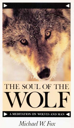 Book cover of THE SOUL OF THE WOLF