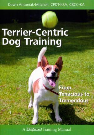 Cover of the book TERRIER-CENTRIC DOG TRAINING by Tristan Pulsifer, Jacquelyn Elnor Johnson