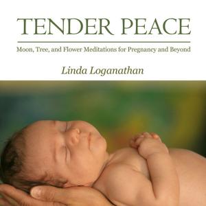 Cover of the book TENDER PEACE by Joan Langen Fessenden