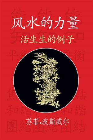 Cover of the book The Power of Feng Shui (Chinese Translation) by Dr. Thomas E. Berry