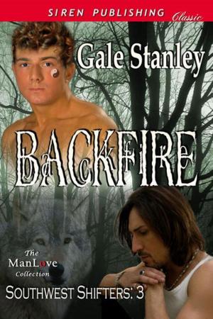 Cover of the book Backfire by Melody S. Monroe