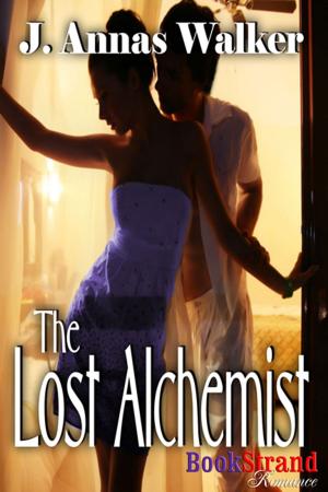 Cover of the book The Lost Alchemist by AJ Jarrett