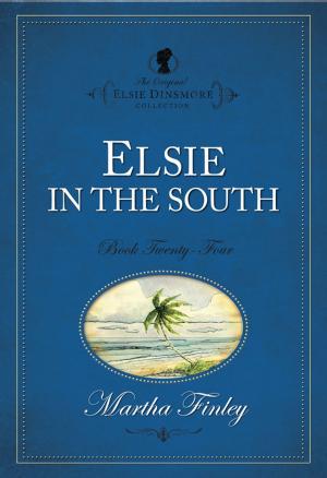 Book cover of Elsie in the South