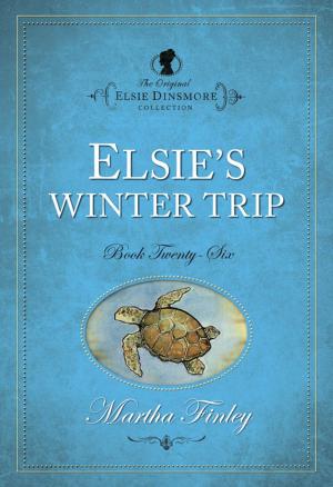 Book cover of Elsies Winter Trip