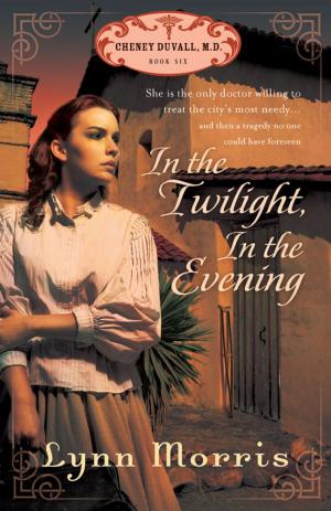 bigCover of the book In the Twilight, in the Evening by 