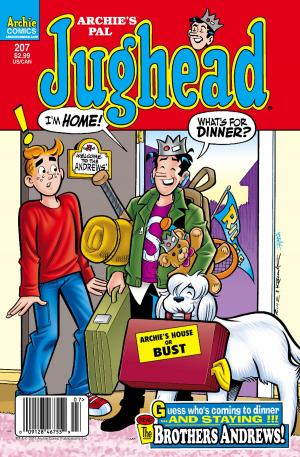 Book cover of Jughead #207