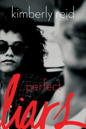Cover of the book Perfect Liars by Vincent A. Mastro