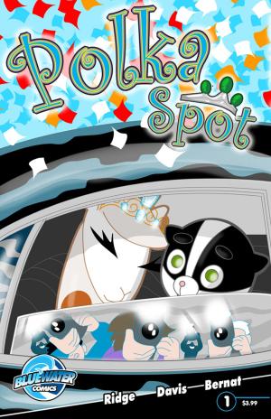 Cover of the book Fabulous Beekman Boys Present: Polka Spot by Bill Mulligan